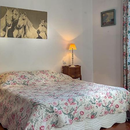 Villa Mas De Charme En Pleine Camargue Saint-Gilles  Exterior foto