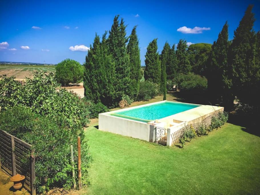 Villa Mas De Charme En Pleine Camargue Saint-Gilles  Exterior foto