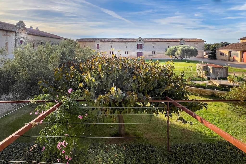 Villa Mas De Charme En Pleine Camargue Saint-Gilles  Exterior foto