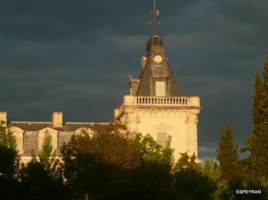 Villa Mas De Charme En Pleine Camargue Saint-Gilles  Exterior foto